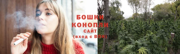 гашик Лабытнанги