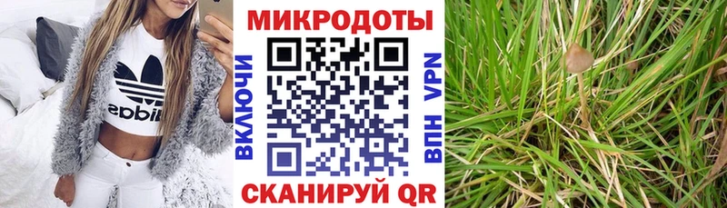 Галлюциногенные грибы GOLDEN TEACHER  Усть-Катав 